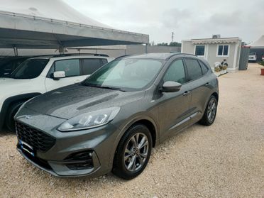 Ford Kuga 1.5 EcoBlue 120 CV 2WD ST-Line X