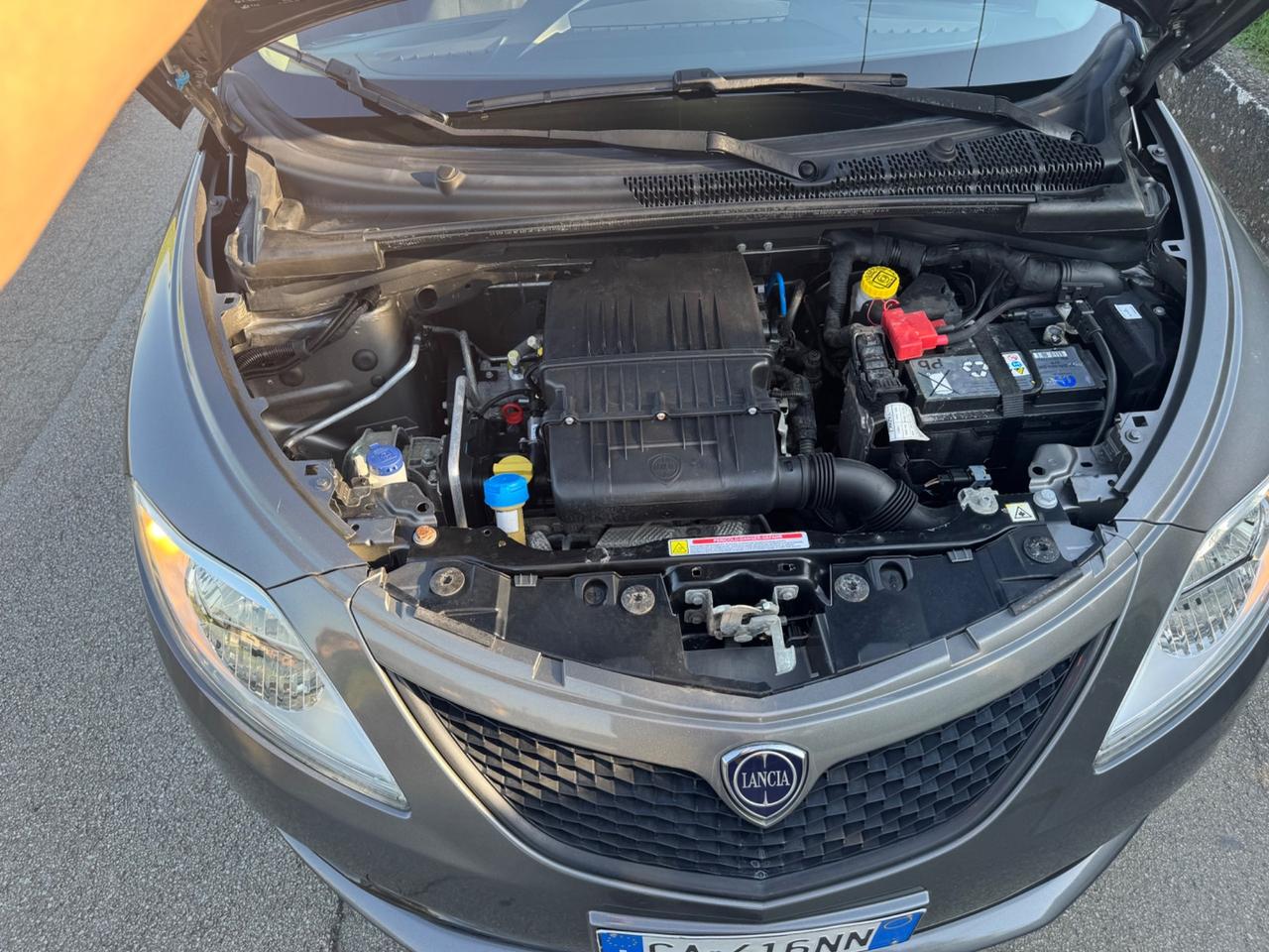 Lancia Ypsilon 1.2 69 CV 5 porte S&S Gold