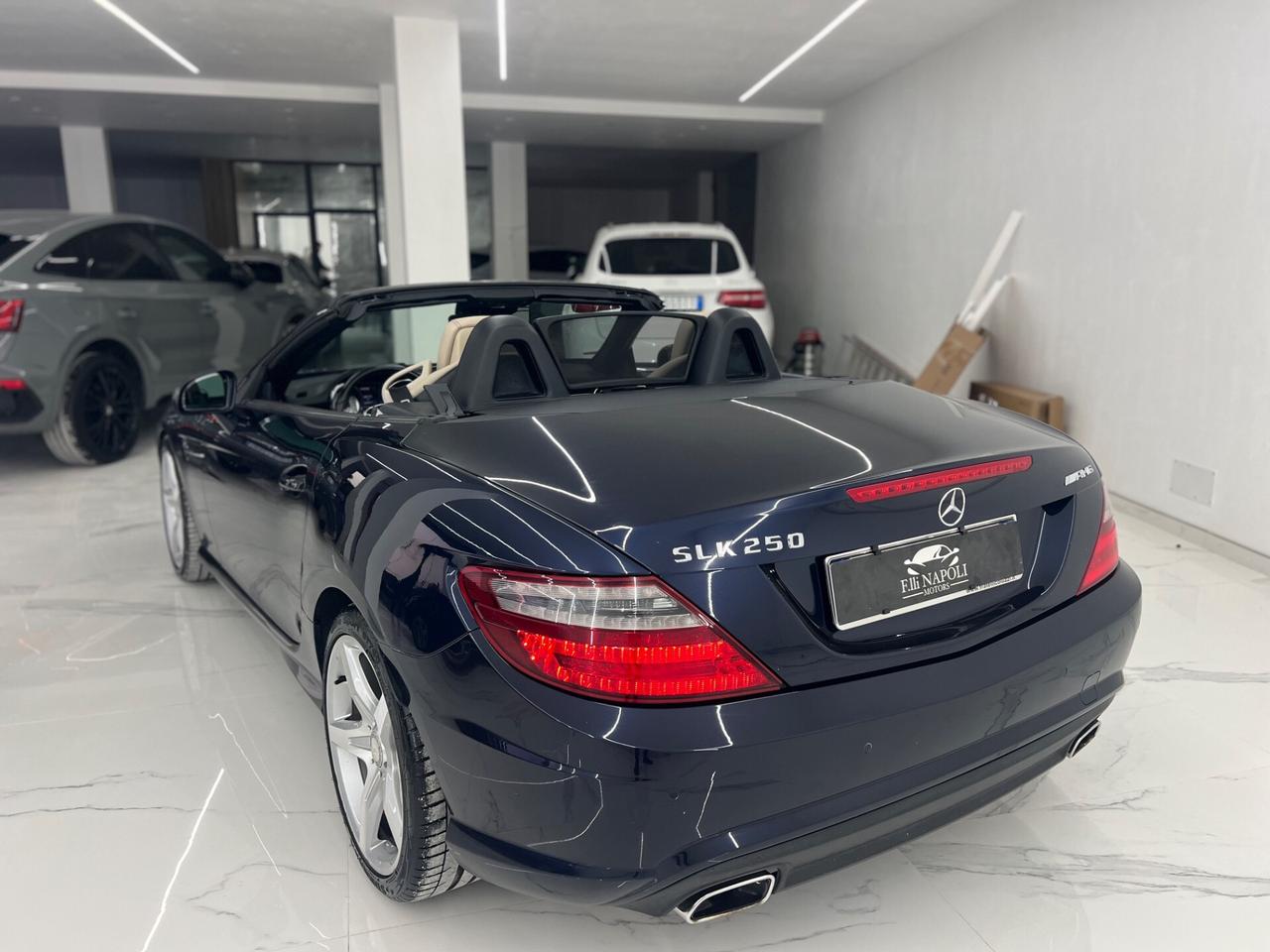 Mercedes-benz SLK 250 CDI Premium