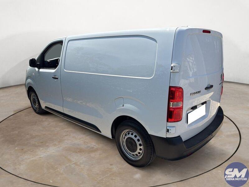 Peugeot Expert BlueHDi 120 S&S PL-TN Furgone Premium Standard