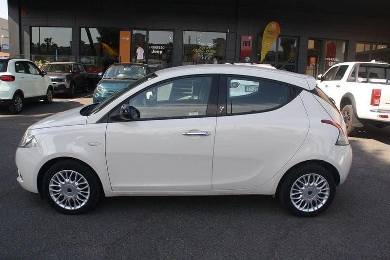 Lancia Ypsilon Ypsilon 1.2 69 CV 5 porte Gold