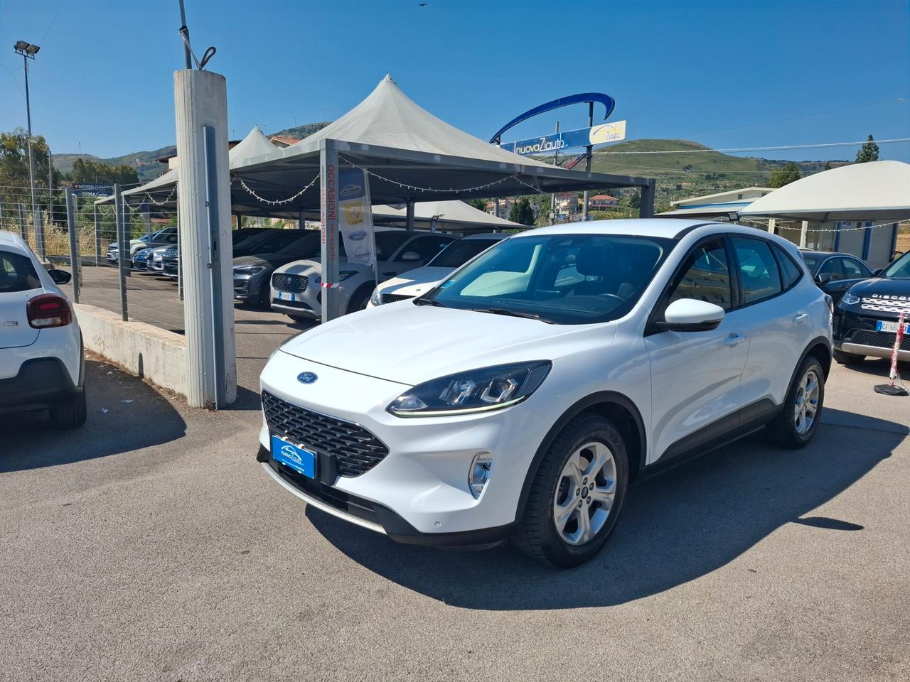 Ford Kuga 1.5 EcoBlue 120 CV anno 2022