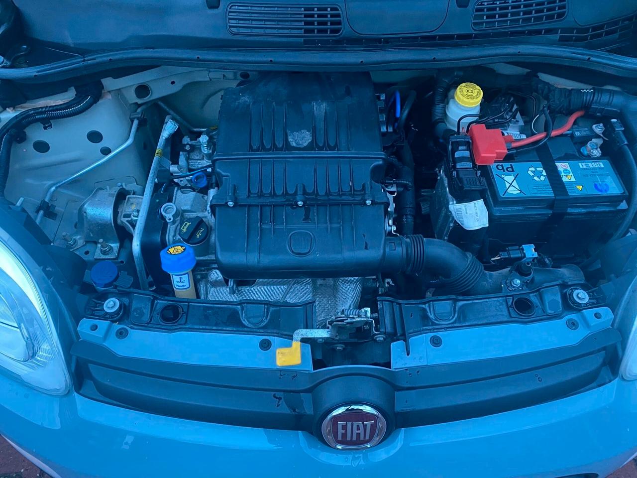 FIAT PANDA EASY 1.2cc IDONEA NEOPATENTATI