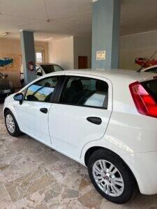 Fiat Punto 1.3 MJT II 75 CV 5 porte Street