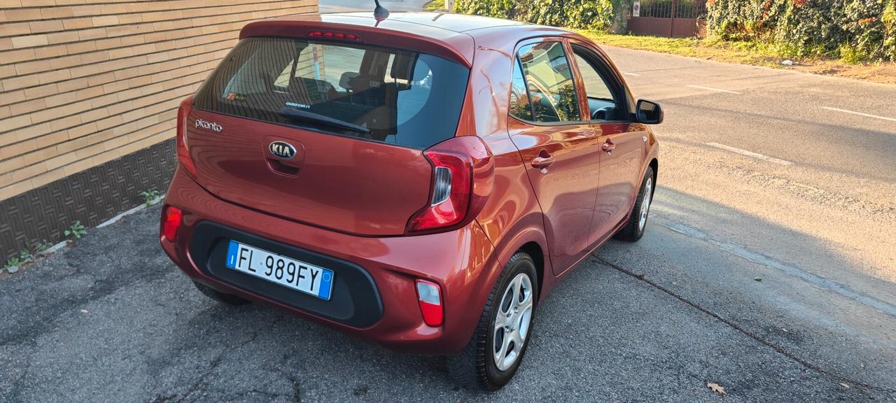 Kia Picanto 1.2 12V 5 porte GT Line