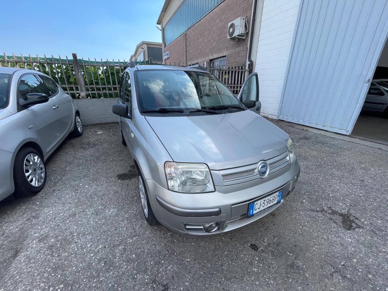 Fiat Panda 1100 i.e. cat Young