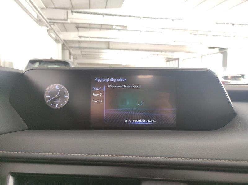 LEXUS UX - UX Hybrid Business