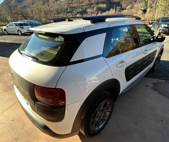 CITROEN C4 Cactus Autocarro N1