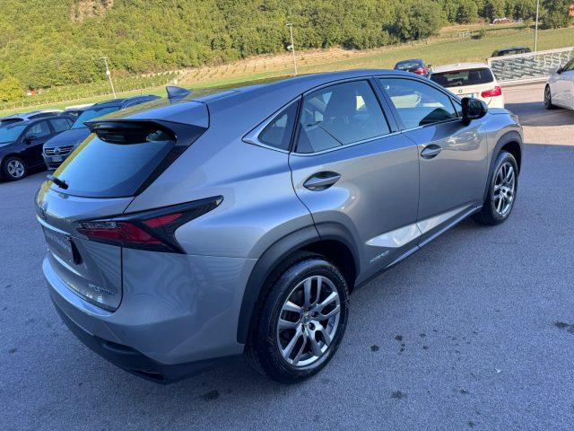 LEXUS NX 300 Hybrid NX300h 4x4 AUTOMATICA AWD 4WD TETTO LED