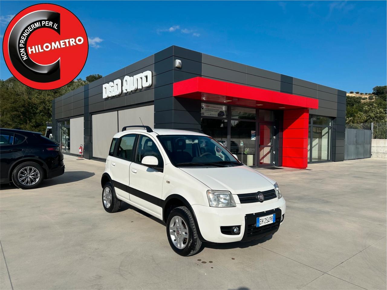 Fiat Panda 1.3 MJT 16V DPF 4x4 Climbing