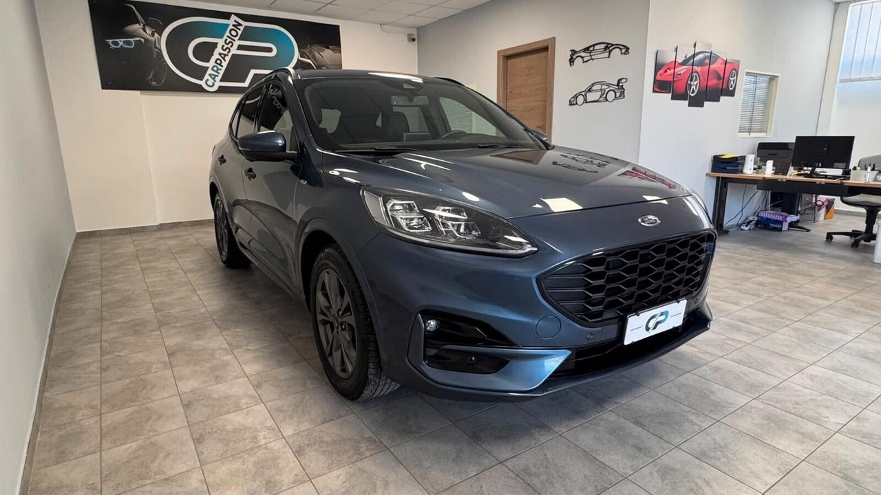Ford Kuga 1.5 EcoBlue 120 CV aut. 2WD ST-Line X
