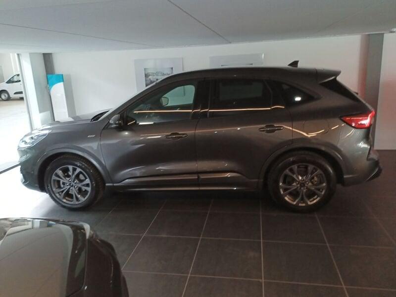 Ford Kuga 1.5 EcoBlue 120 CV aut. 2WD ST-Line X