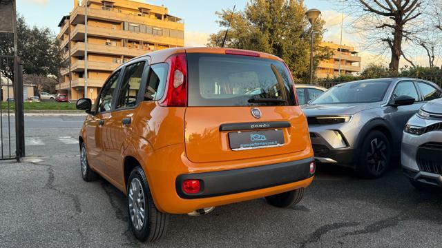 FIAT Panda 1.2 69CV S&S E6D-TEMP EASY*24M.G.*USB*FENDINEBBIA