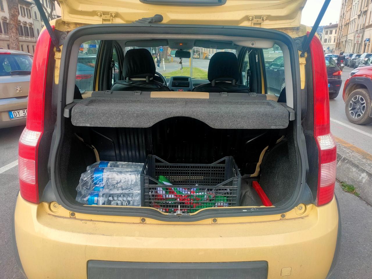 Fiat Panda 1.3 MJT 4x4 Climbing