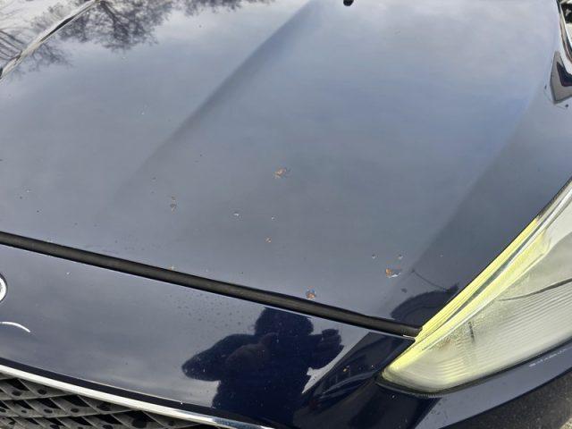 FORD Focus 1.5 TDCi 95 CV IVA ESPOSTA PERMUTE NEOPATENTATI