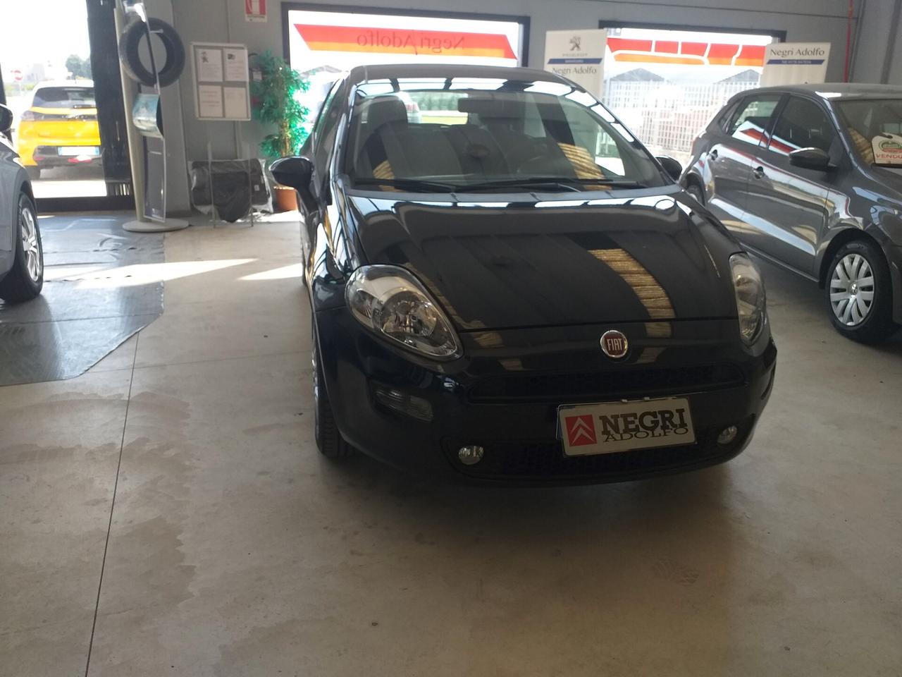 Fiat Punto 1.2 8V 5 porte Street