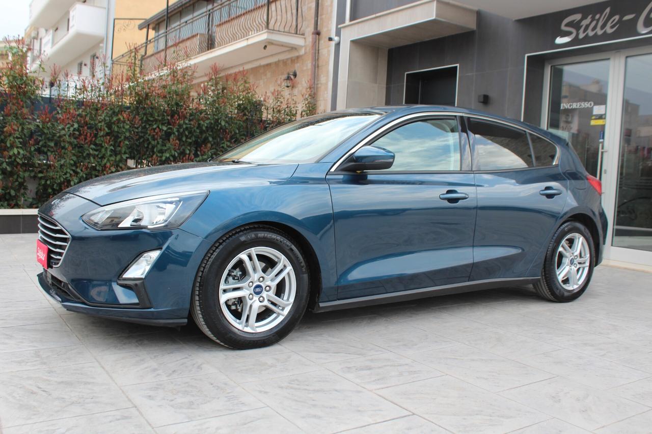 Ford Focus 1.5 EcoBlue 120 CV automatico 5p. Business Co-Pilot