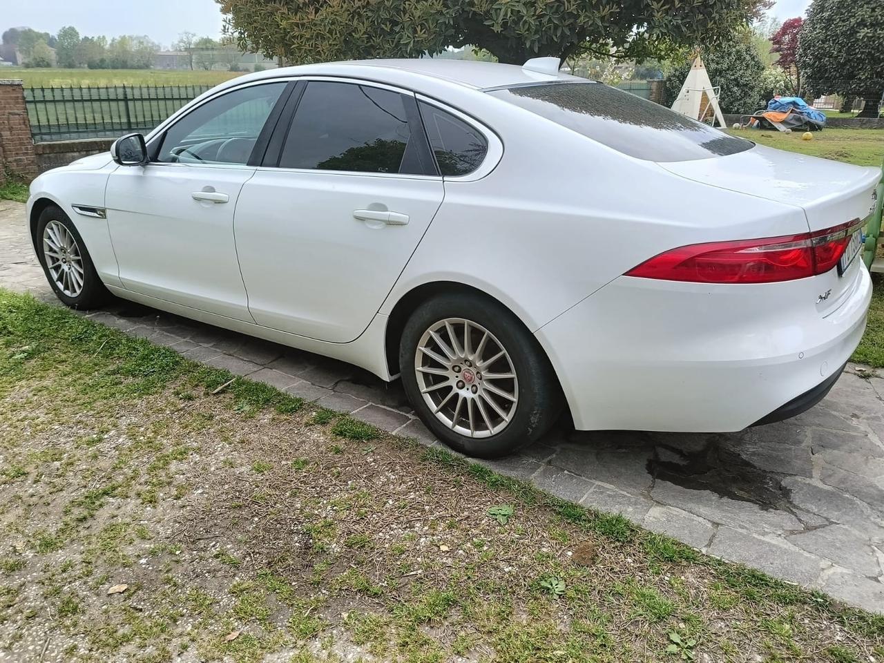Jaguar XF 2.0 D E-Performance aut. Pure