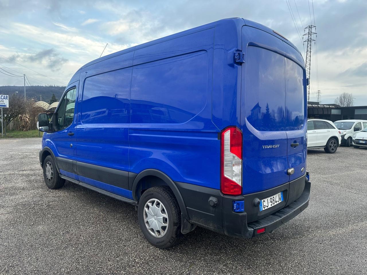 Ford Transit 290 2.0TDCi EcoBlue PM-TM Furgone Trend