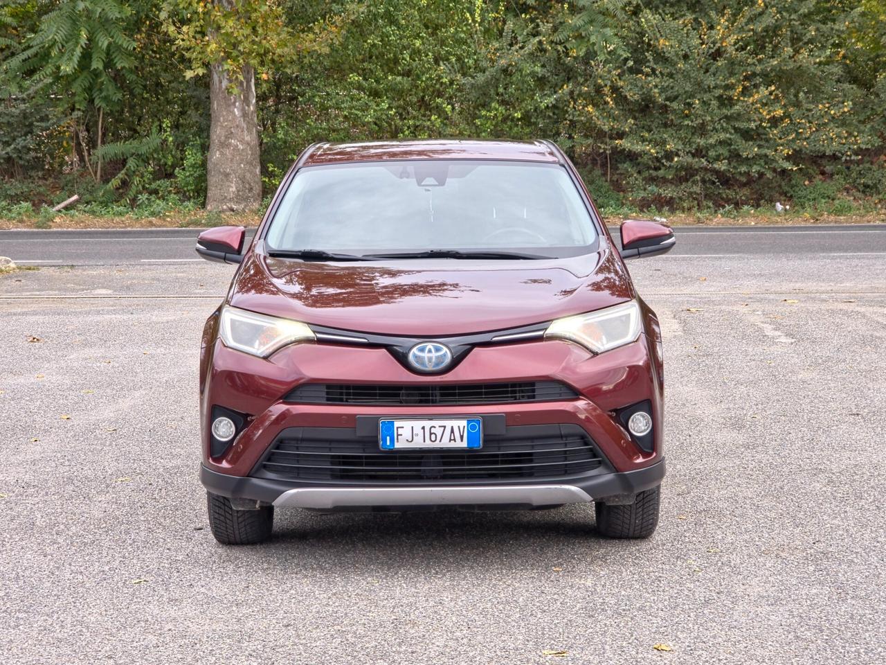 Toyota RAV 4 RAV4 2.5 Hybrid 2WD Active 2017-E6B Automatica