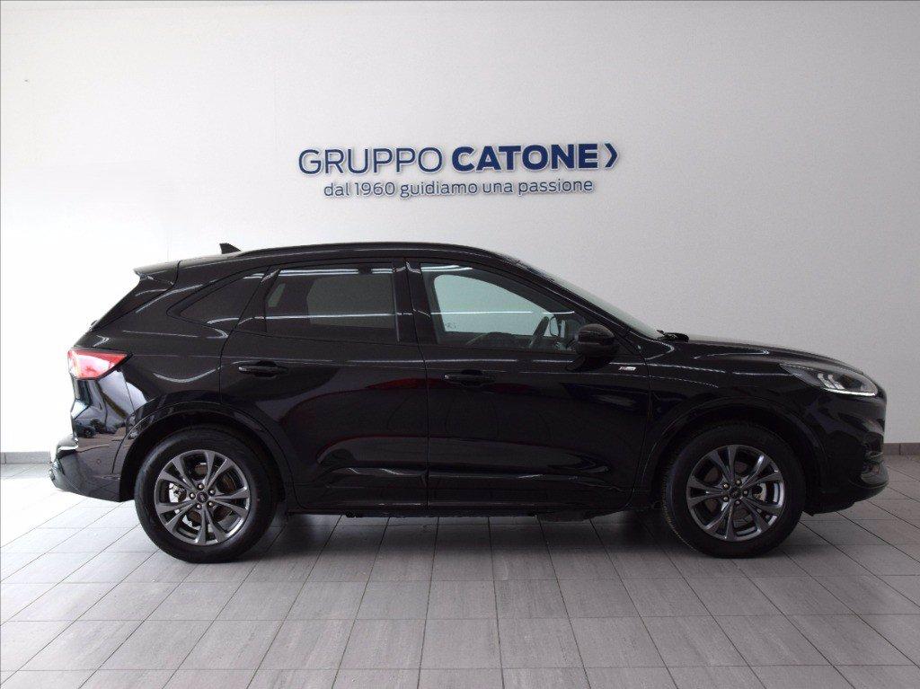 FORD Kuga 2.5 phev ST-Line 2wd 243cv auto del 2024