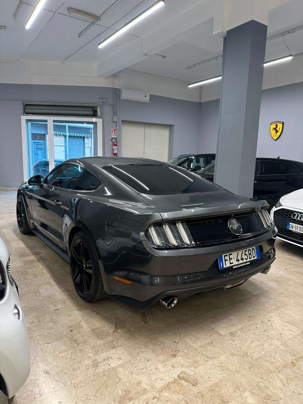 Mustang MUSTUNG