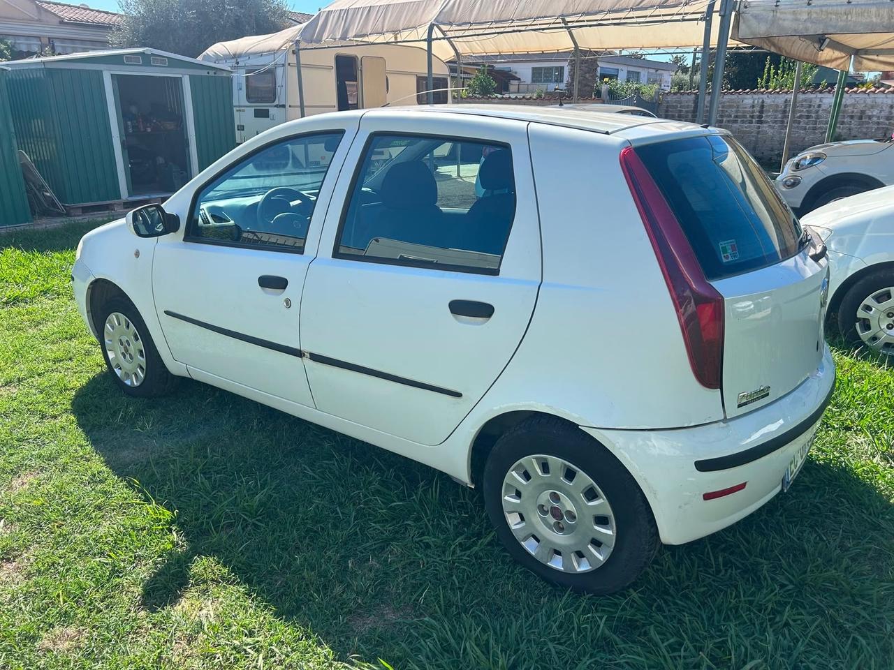 Fiat Punto Classic 1.2 5 porte Active