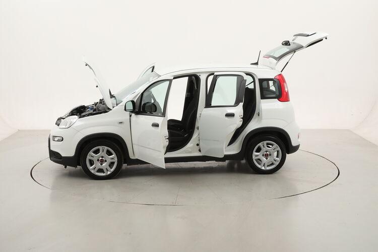 Fiat Panda Hybrid BR249275 1.0 Mild Hybrid 70CV