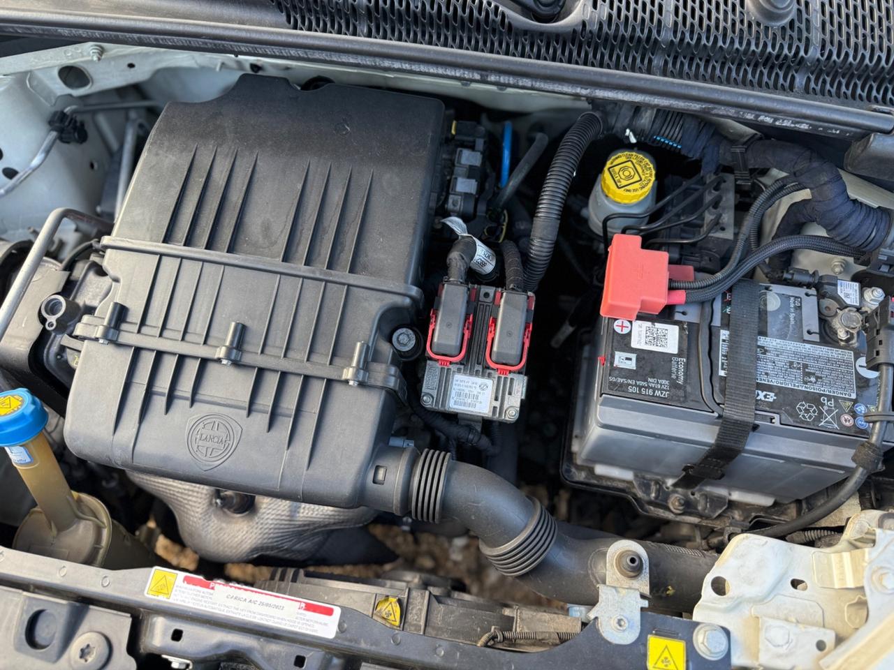 Lancia Ypsilon 1.2 69 CV 5 porte S&S Platinum