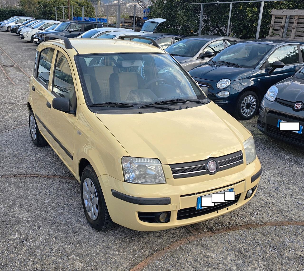 Fiat Panda 1.2 Dynamic GPL BEN TENUTA GARANZIA