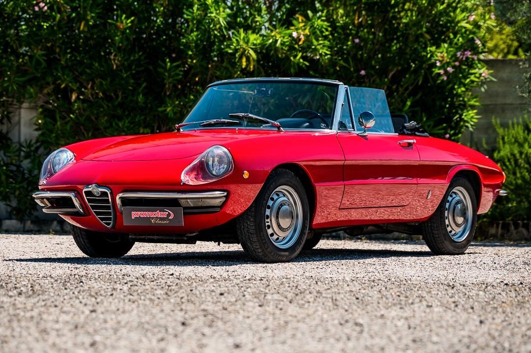 Alfa Romeo Spider Junior 1.3 “Osso di Seppia”