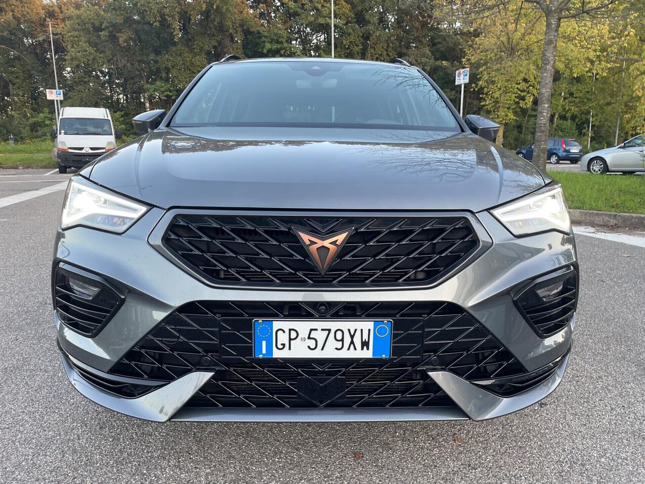 Cupra Ateca 2.0 TSI DSG 4Drive VZ*Automatik*Navi*