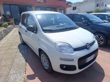 FIAT Panda Panda 1.3 MJT Van EASY 4 posti (N1)