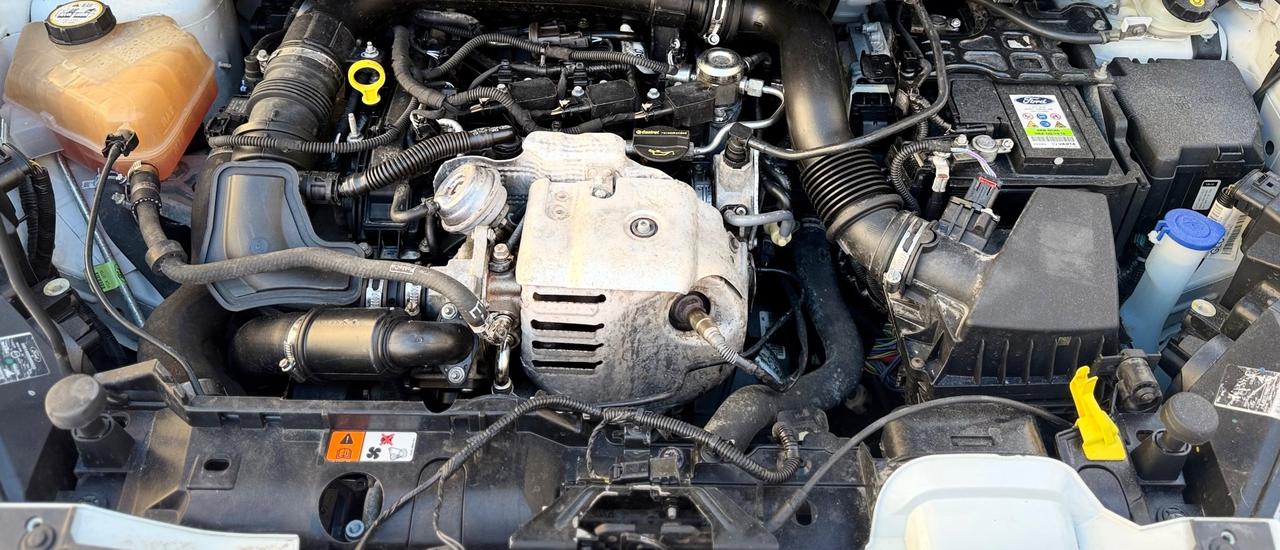Ford B-Max 1.0 Benzina Titanium 100 Cv