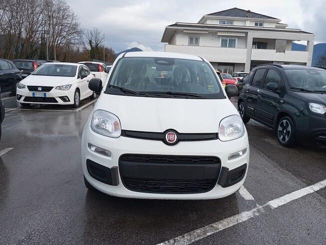 Fiat Panda 1.0 FireFly S&S Hybrid Icon