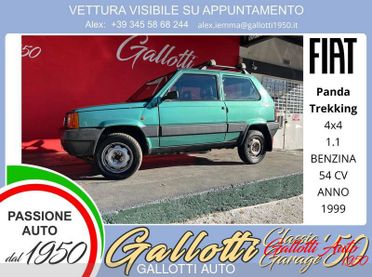 FIAT Panda 1.1 54 cv 4x4 benzina