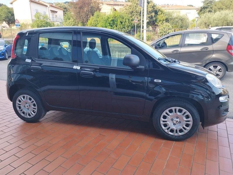 FIAT Panda 1.0 FireFly S&S Hybrid Pack City