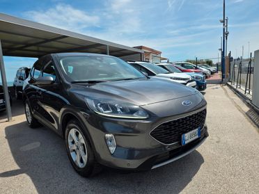 Ford Kuga 1.5 EcoBlue 120 CV 2WD Connect Edition