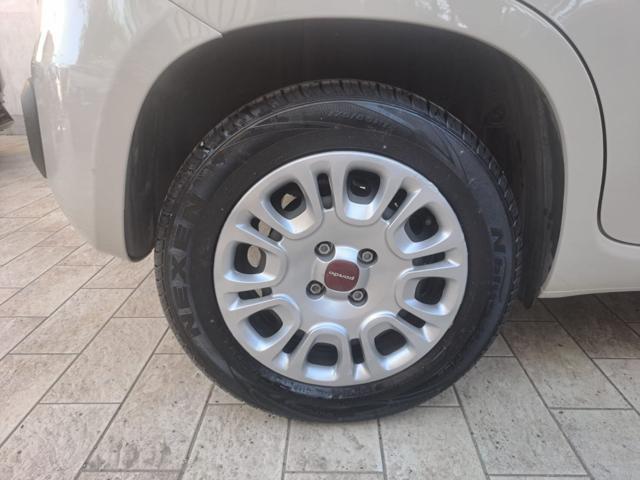 FIAT Panda 1.2 Benz 69CV - UNIPRO TAGLIANDATA