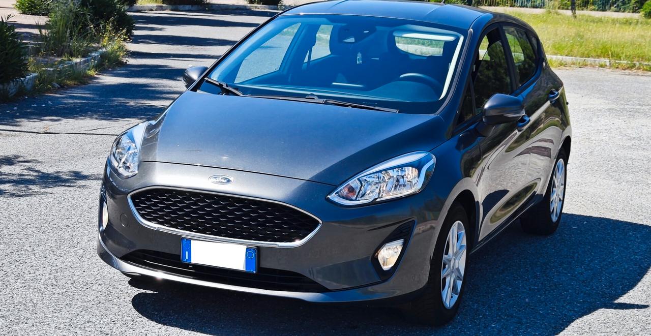 Ford Fiesta 1.1 5 porte Plus