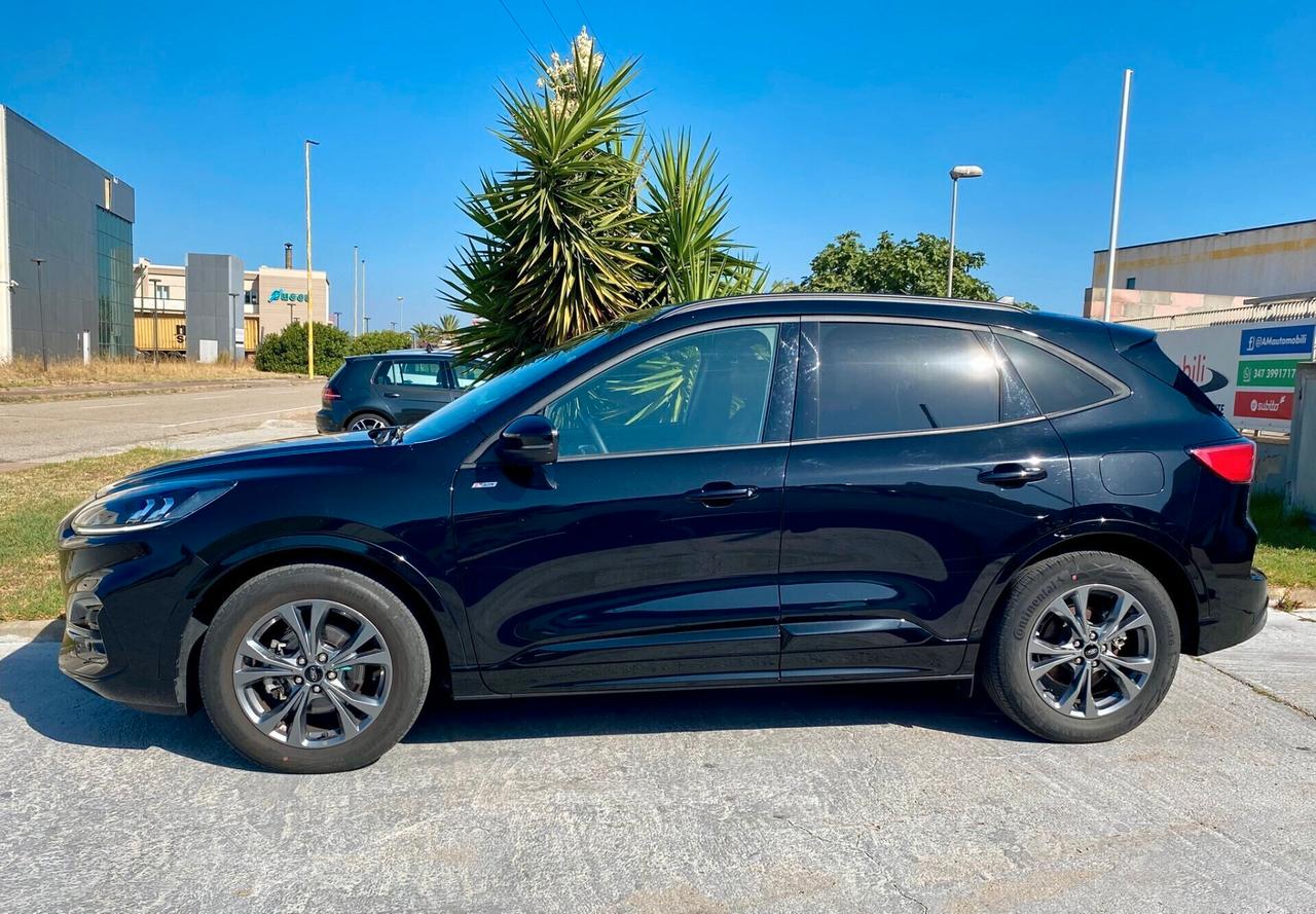 Ford Kuga 2.0 EcoBlue 120 cv. aut. 2WD ST-Line X