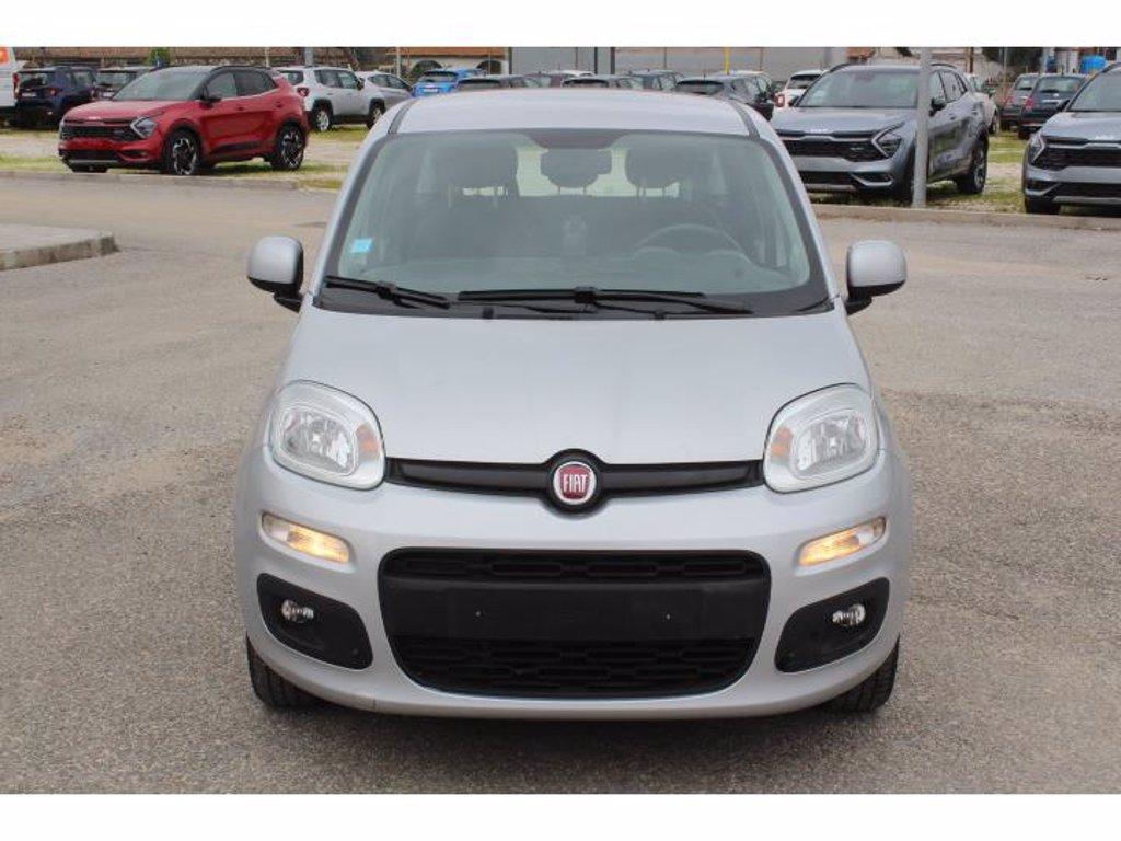 FIAT Panda 1.2 lounge s&s 69cv my19 del 2020