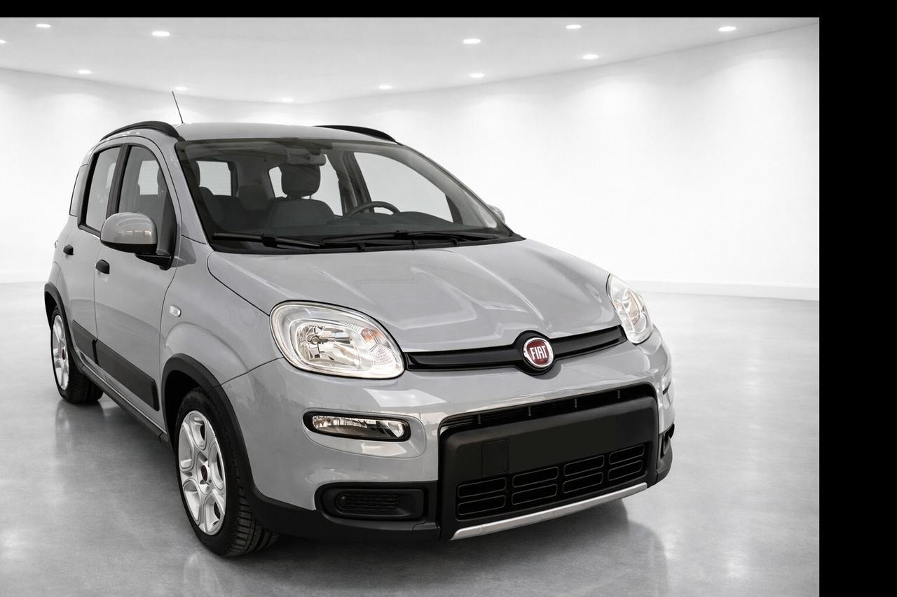 Fiat Panda 1.0 FireFly S&S Hybrid City Life