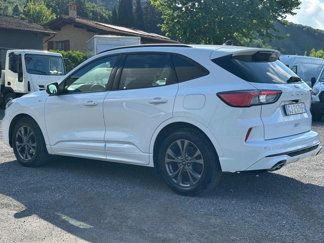 FORD Kuga 1.5 EcoBlue 120 CV aut. 2WD ST-Line X