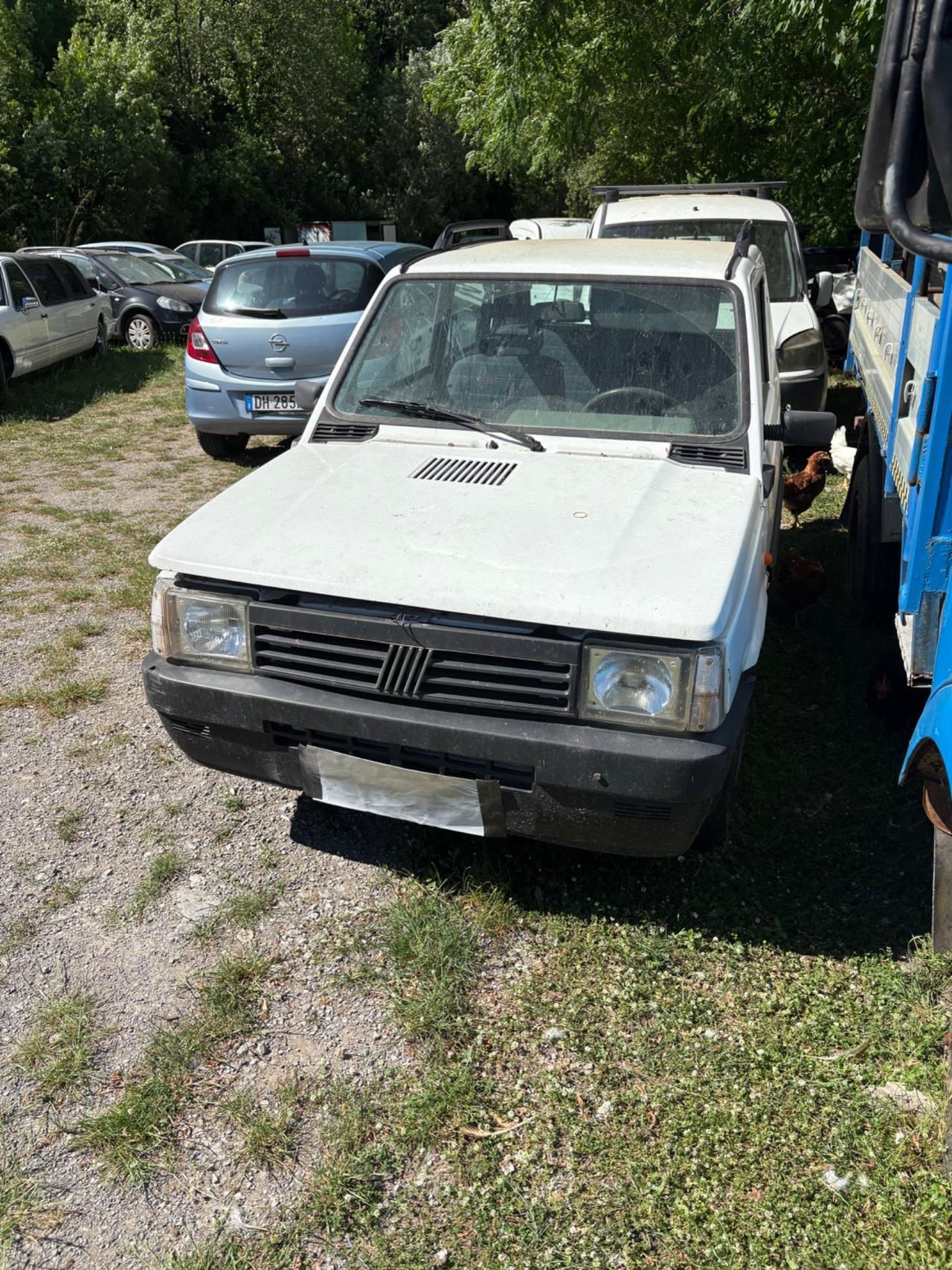 Fiat Panda 1100 i.e. cat College