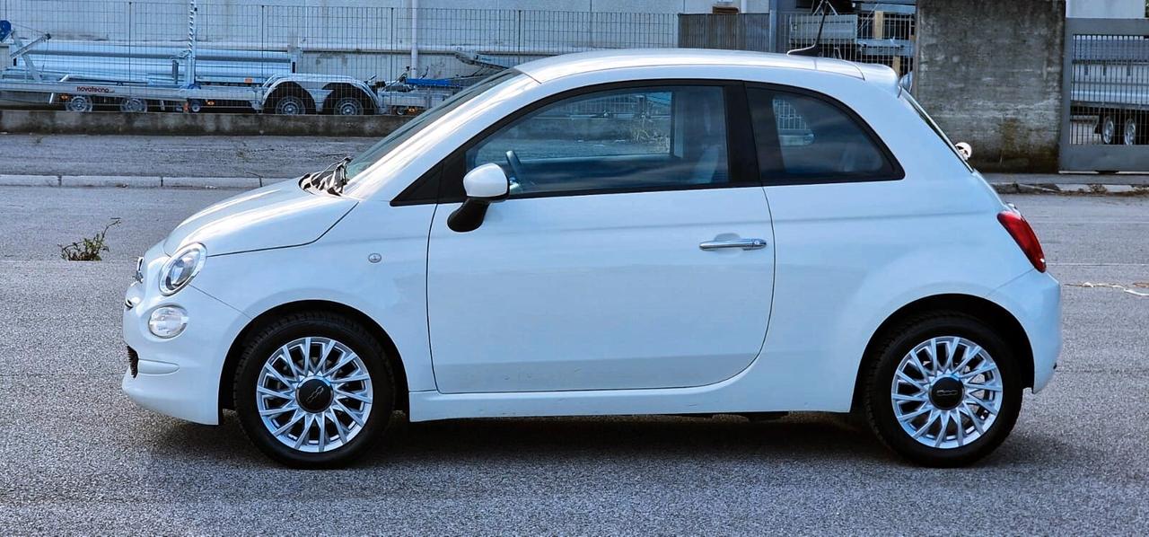 Fiat 500 1.0 70cv Hybrid Cult fINANZIABILE