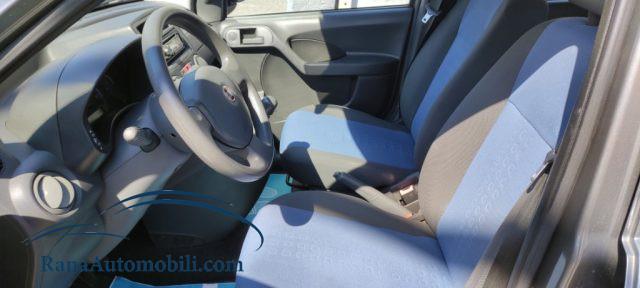 FIAT Panda 1.2 Active NeoPatentati UniProprietario