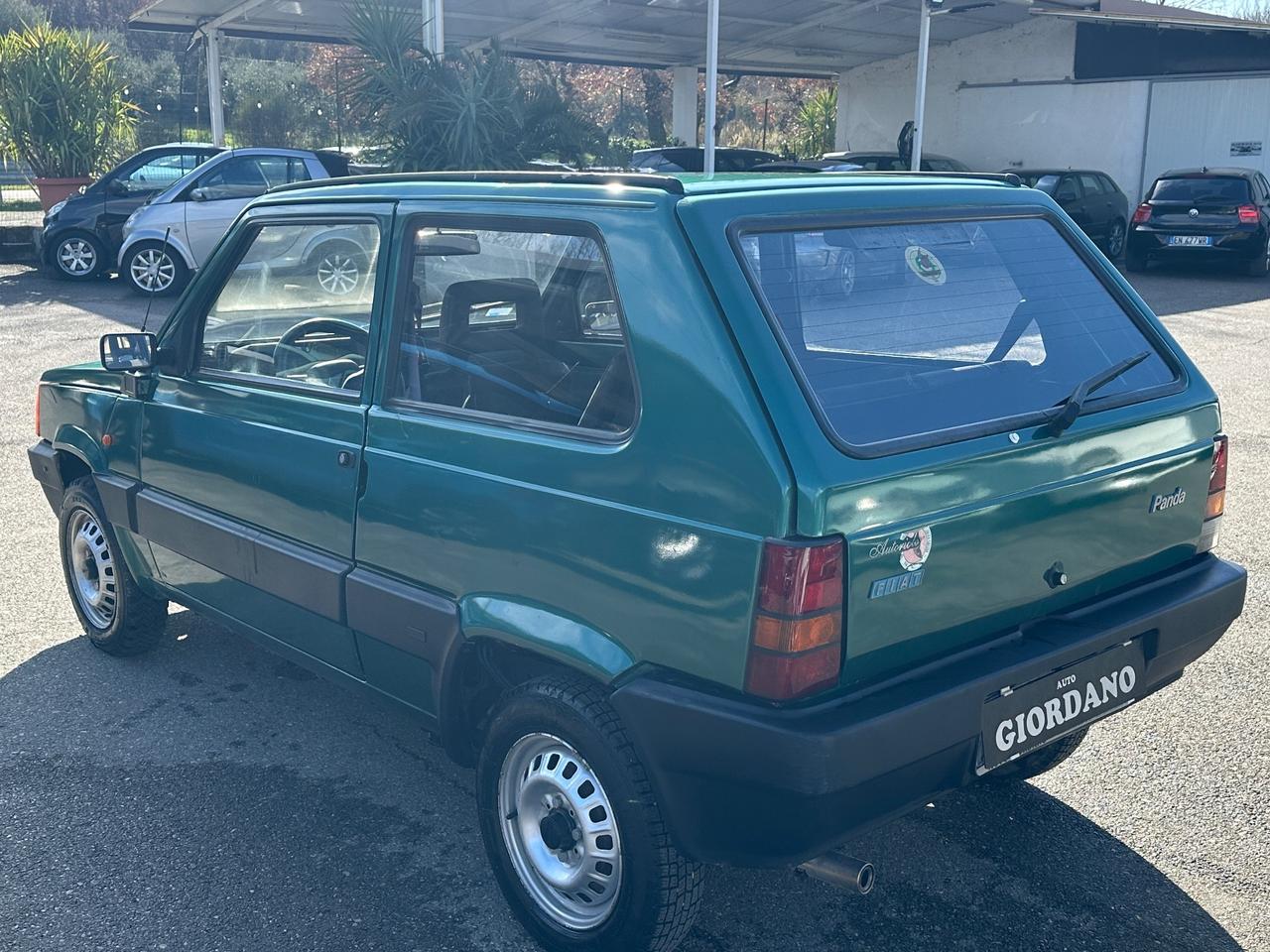 Fiat Panda 1100 i.e. cat Young