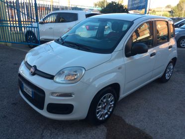 2017 Fiat Panda 1.2 Easy tagliandata con garanzia !!!