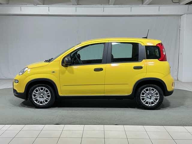 Fiat Panda 1.0 FireFly S&S Hybrid KM ZERO